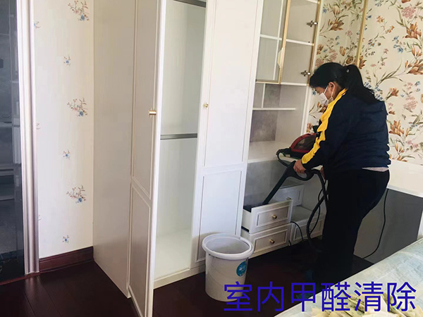 室內甲醛清除 室內甲醛清除